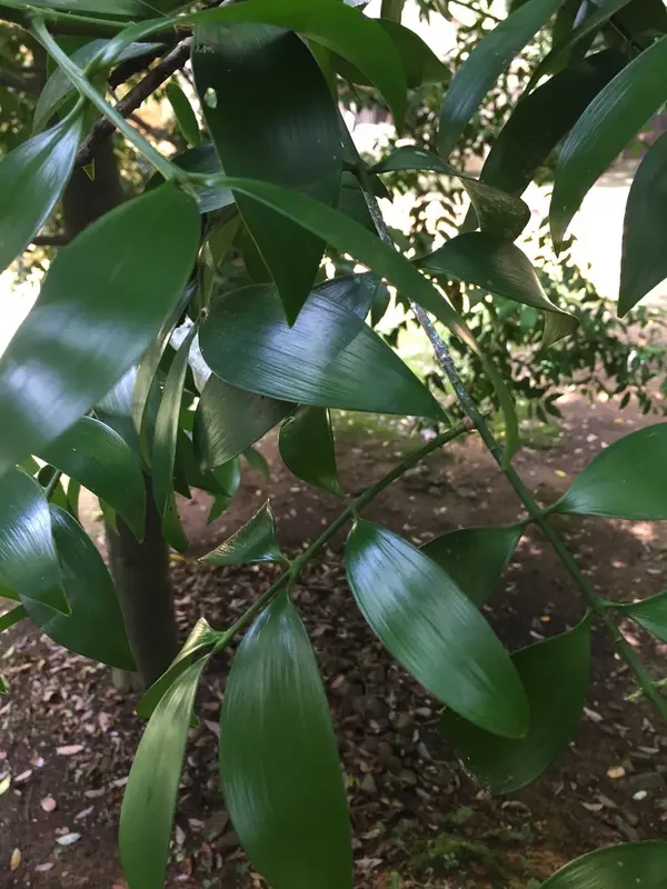 隠れた縁結びスポット