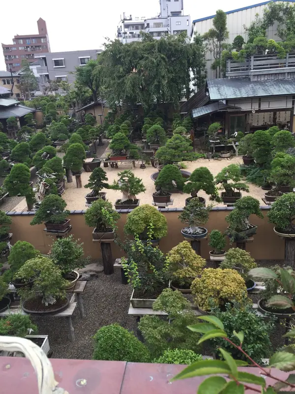 見渡す限り