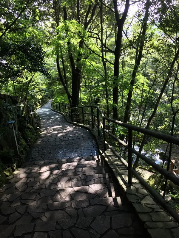一面緑