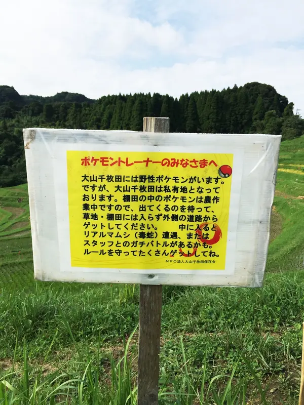 こんな案内板見つけました
