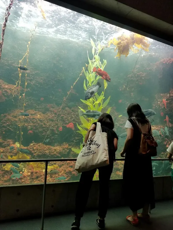 館内