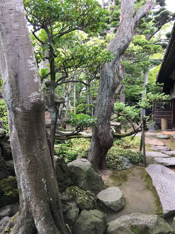 立派な庭園