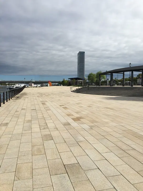 開放的な公園