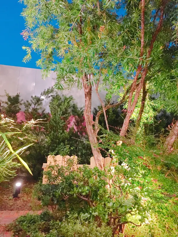 テラス席からの眺め