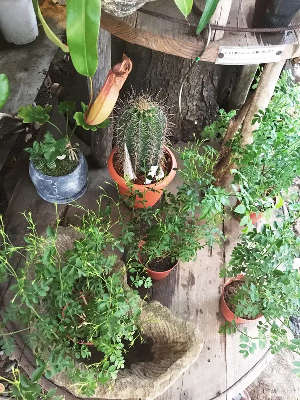 1階と2階はフラワーショップ
