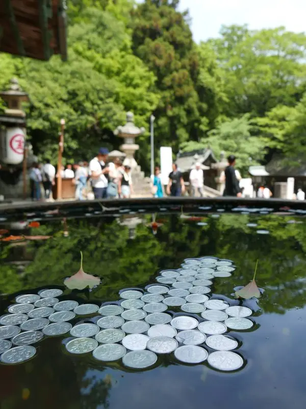 旭社前の水甕に浮かべる