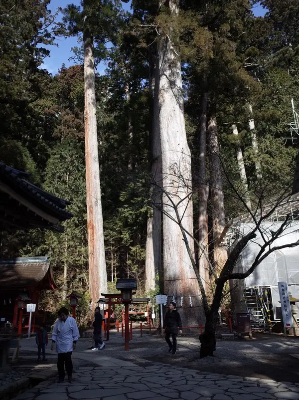 境内