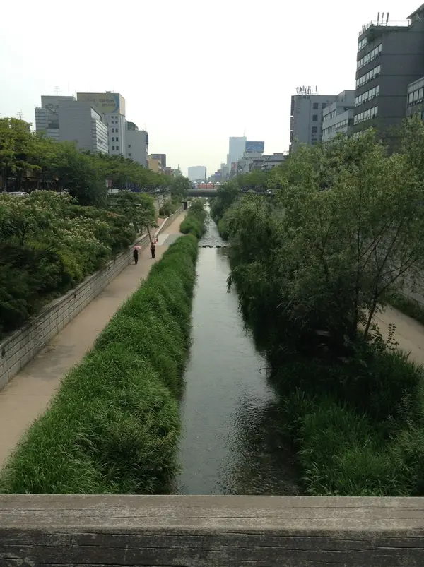 緑も多く気持ちいい。