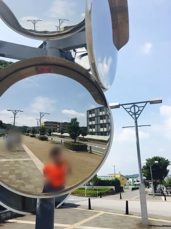 鏡の木