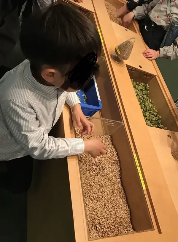 麦芽とホップ