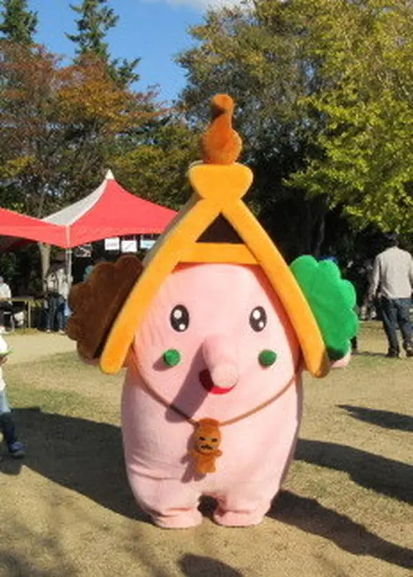 ほったん