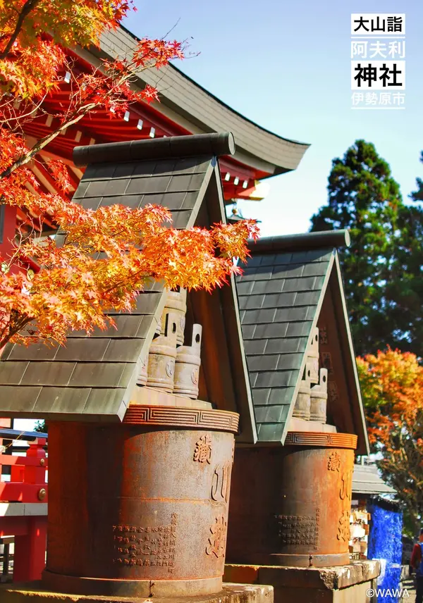 大山阿夫利神社の紅葉