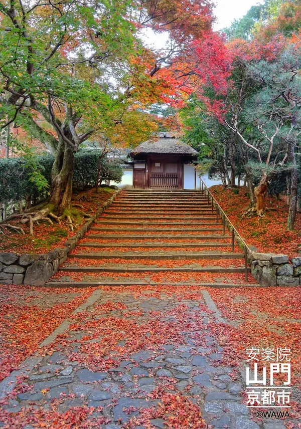 今年の安楽寺
