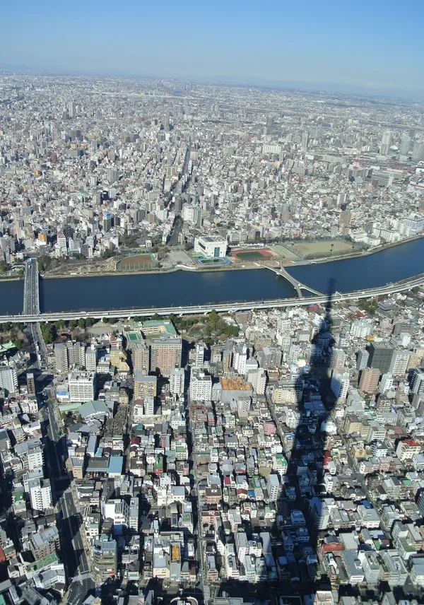 スカイツリーからの景色