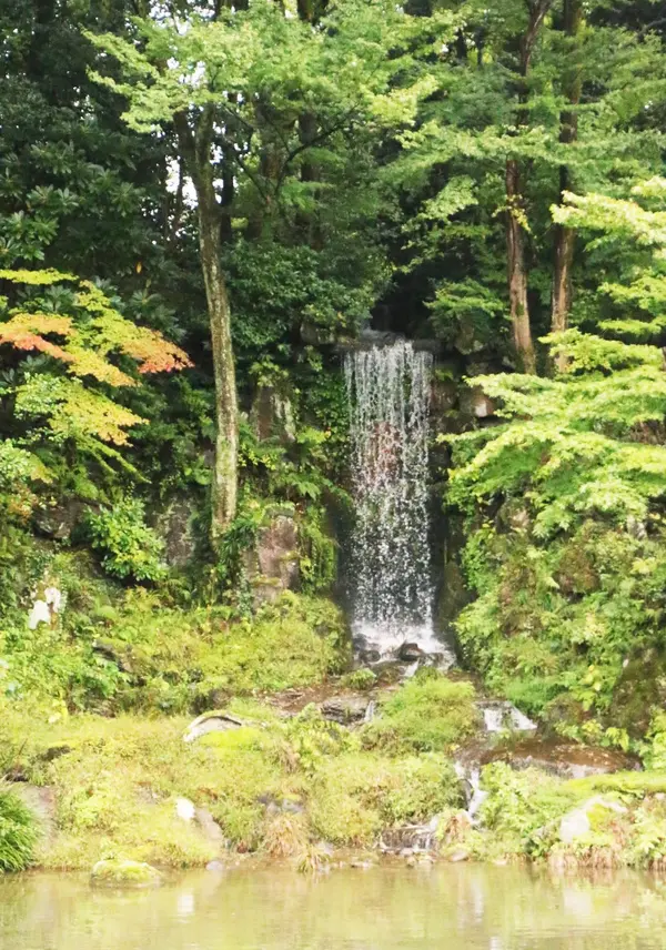 翠滝✨
