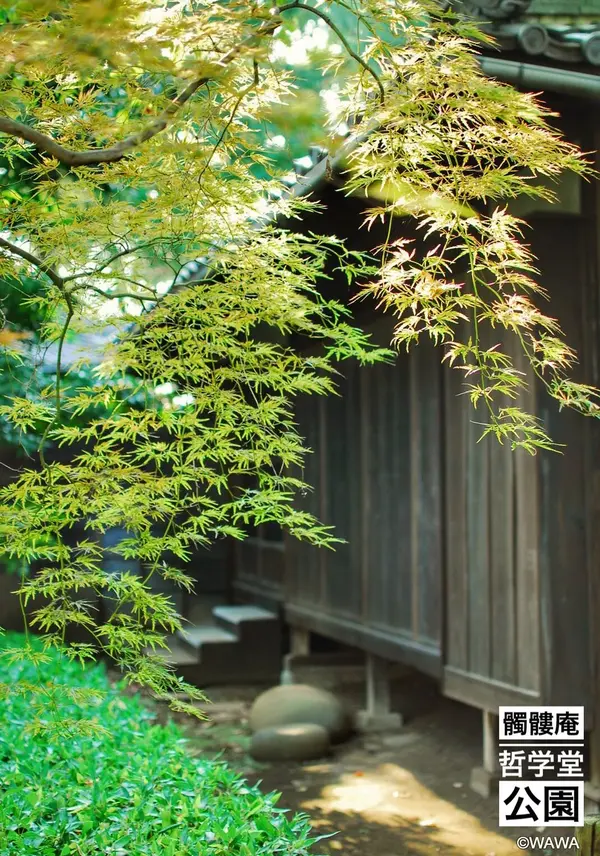 髑髏庵 明治42年 哲学堂公園