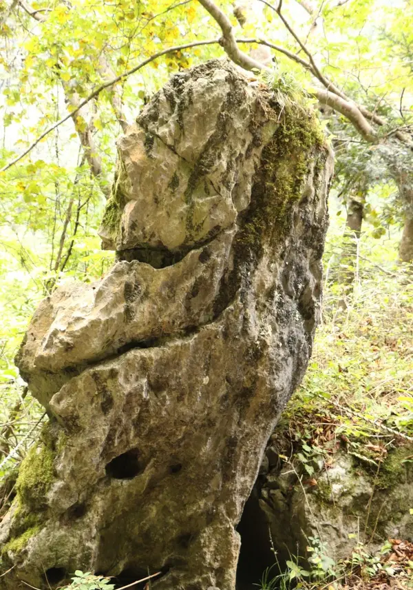 弁慶の腕ぬき岩