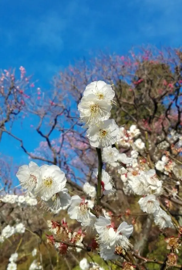 接写もおすすめ♡