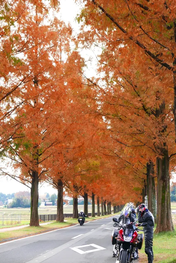 バイクで行けばよかった