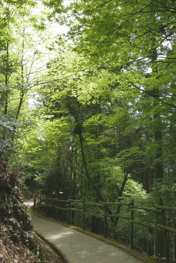 「山下り」を強要されます