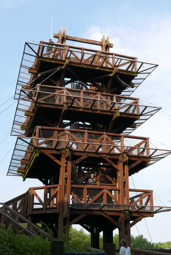 森全体が見渡せる展望台