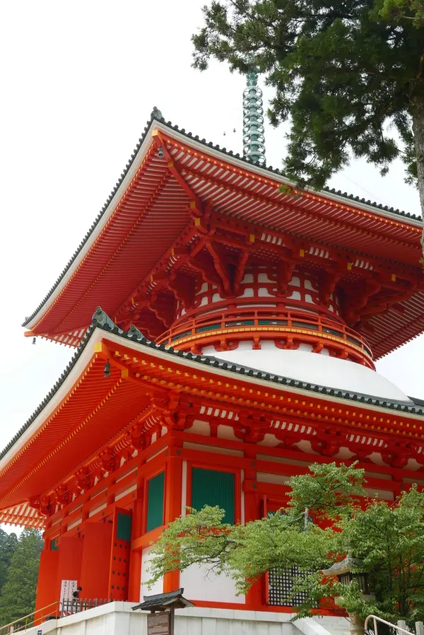 超巨大な根本大塔