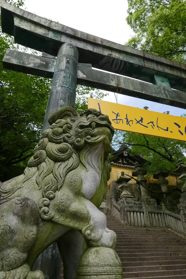 深い木陰が救い