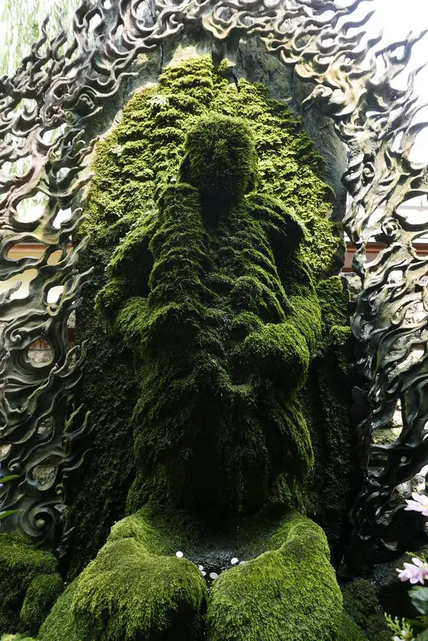 全身苔に覆われた不動様