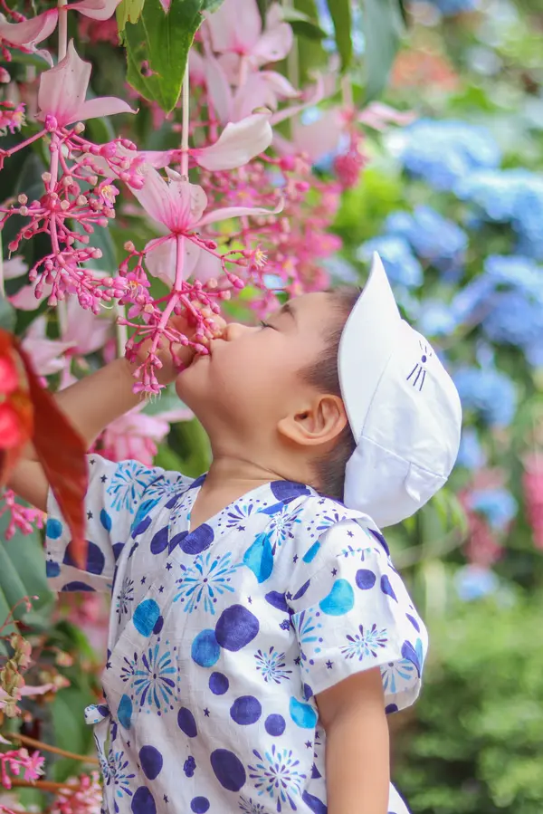 ピンクのお花が綺麗に咲いていました