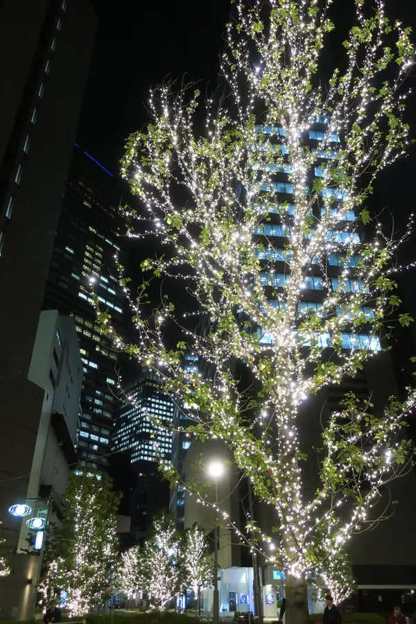ミッドランドの裏側