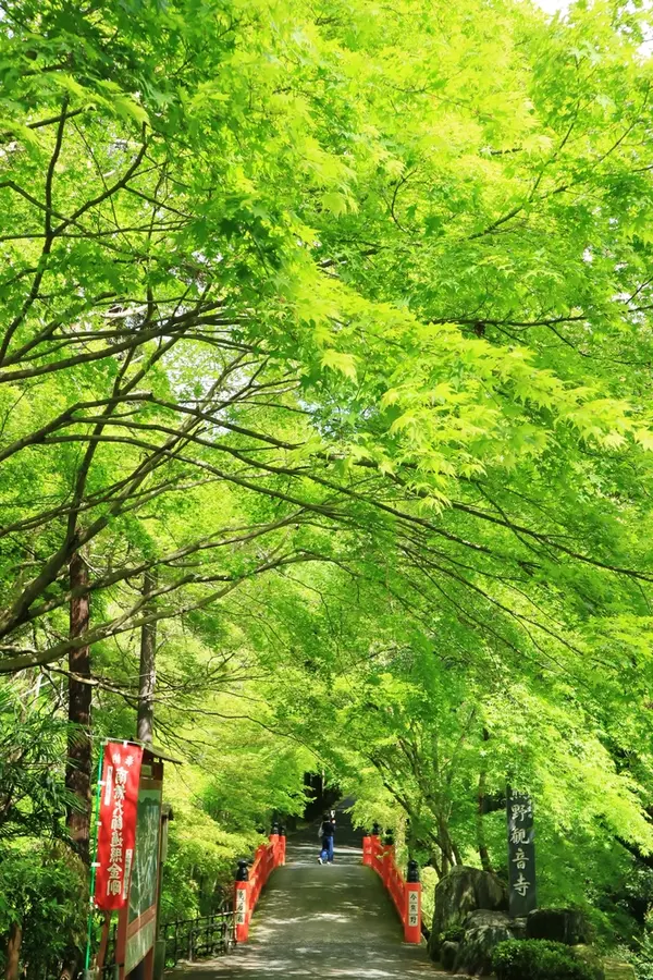 鳥居橋