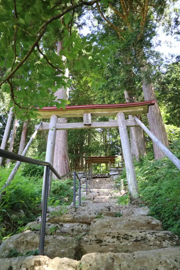 鎌倉神社を見上げる