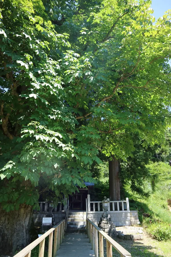 木製の柵の参道