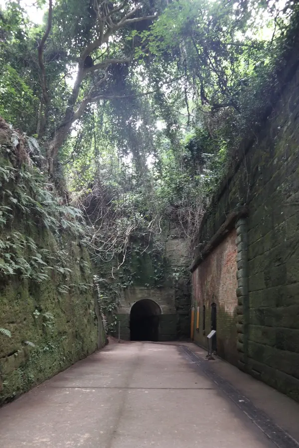 トンネルを出て振り返ってみた景色