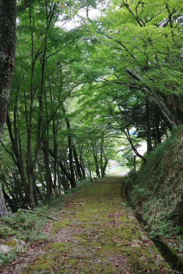 お寺への道は山の中