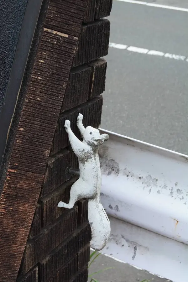 2nd squirrel!