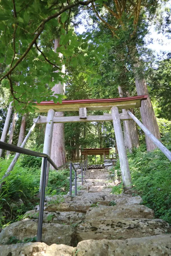 Looking up the shrine