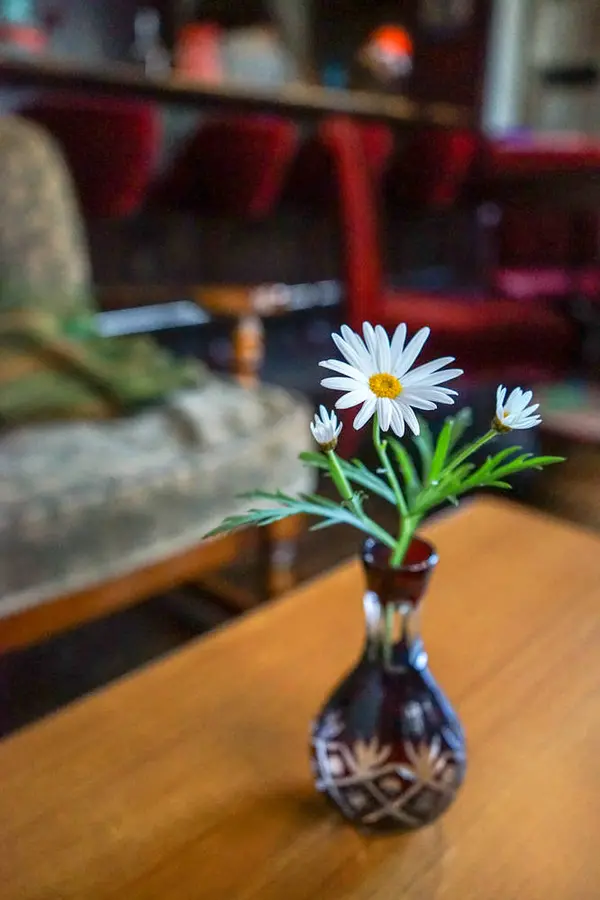 生花も癒やしてくれます