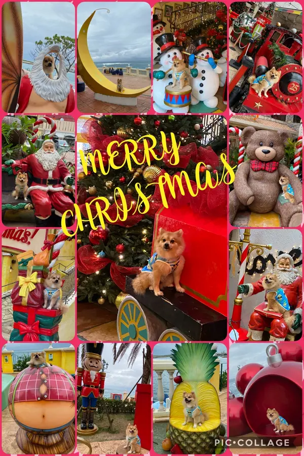 色んなCHRISTMAS