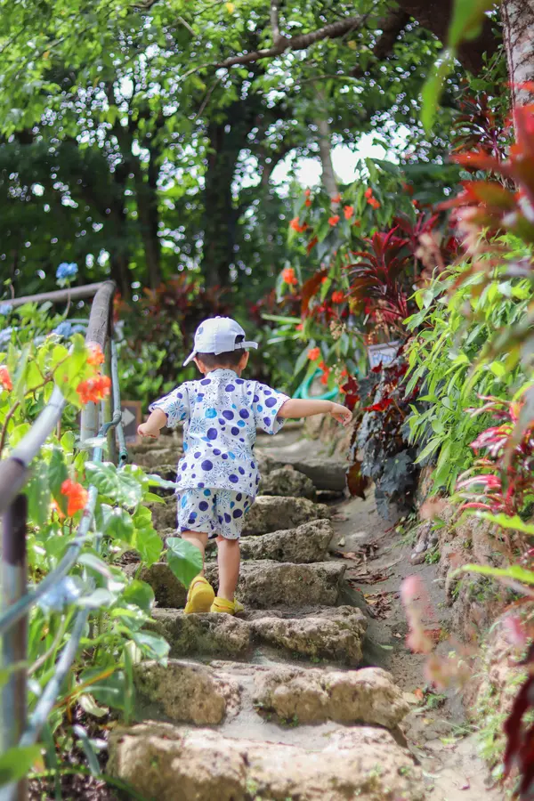 紫陽花以外にも綺麗な花が沢山