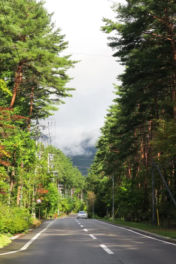 高原は静かな山の中