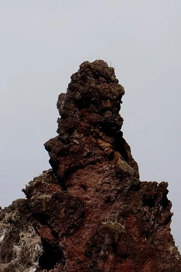 この角度がゴジラっぽい