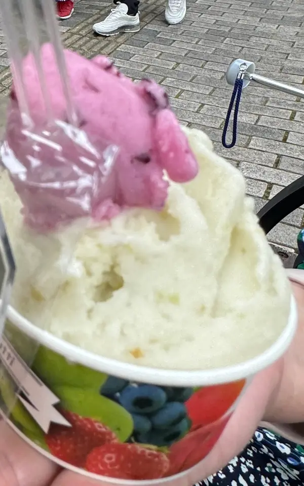 シャインマスカット