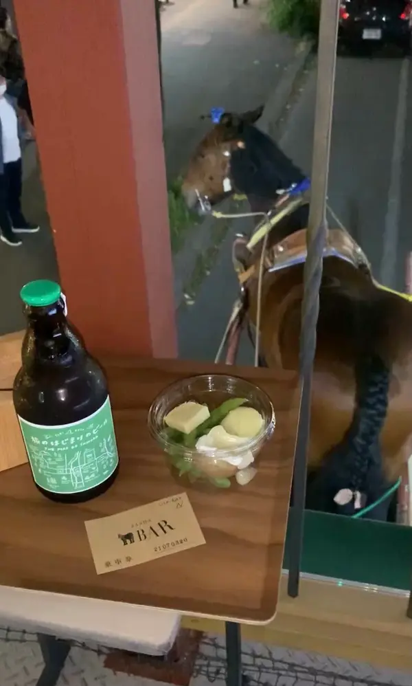 元競走馬のコマちゃん