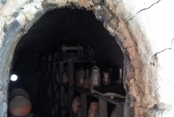 Ogamaの写真・動画_image_128273