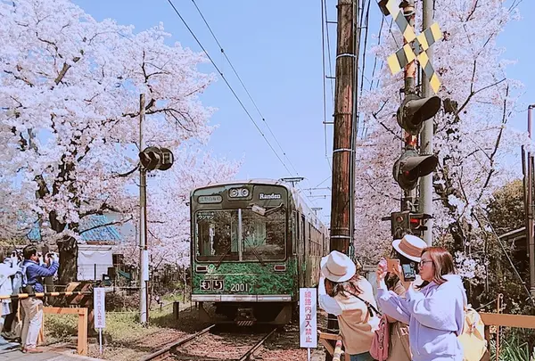 鳴滝駅の写真・動画_image_196918