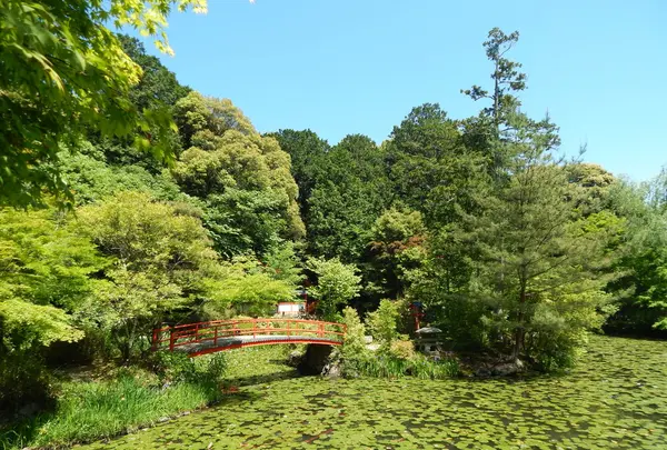 鯉沢の池