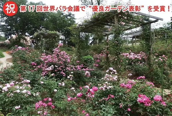 佐倉草ぶえの丘