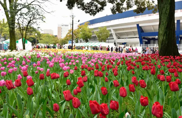 横浜公園