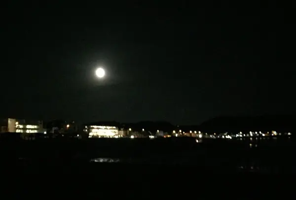 Night